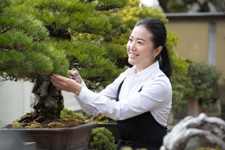 ずっと会いたかった人 新しい盆栽の形を追究する山田香織さん 4 4 Dermed Style もっと笑顔の日